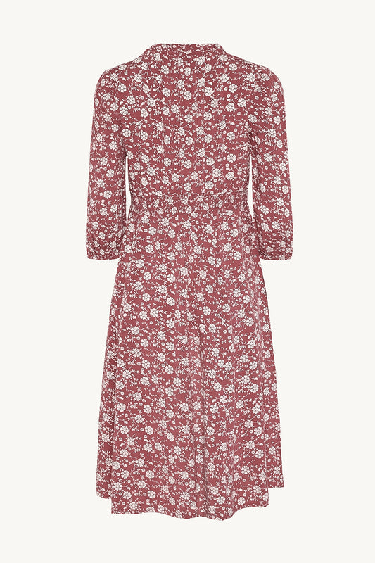 CWDotta - Color 3726