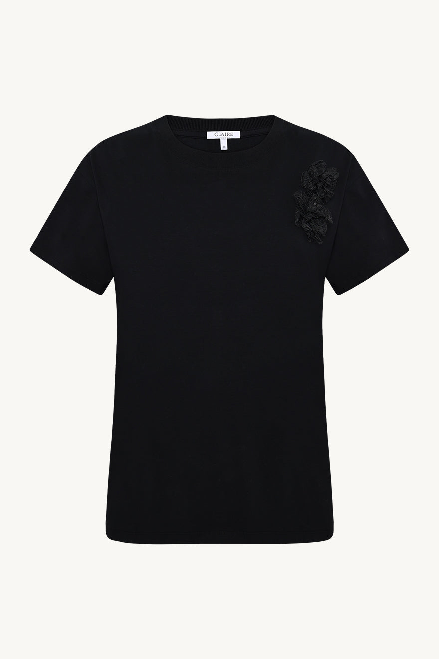 CWAndrea - Color 3244